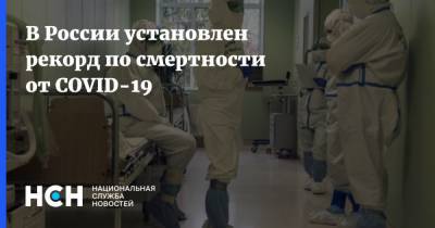 В России установлен рекорд по смертности от COVID-19 - nsn.fm - Россия