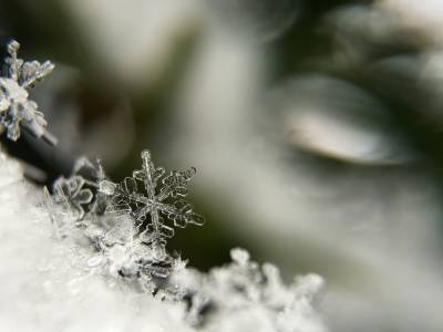 В Запорожье прогнозируют снег и гололедицу - inform.zp.ua - Украина - Запорожье