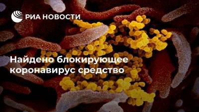 Найдено блокирующее коронавирус средство - ria.ru - Москва - Швейцария