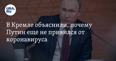 Владимир Путин - Дмитрий Песков - В Кремле объяснили, почему Путин еще не привился от коронавируса - ura.news - Россия
