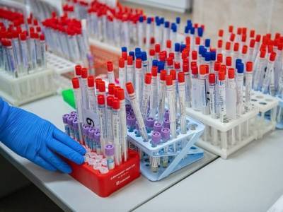 Правительство продолжит до 2021 года выплаты тем, кто помогает больным коронавирусом - rosbalt.ru - Россия