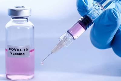 Рудольф Аншобер - В Австрии планируют начать вакцинацию против COVID-19 в январе 2021 года - newsone.ua - Украина - Австрия