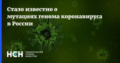 Стало известно о мутациях генома коронавируса в России - nsn.fm - Россия