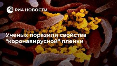Ученых поразили свойства "коронавирусной" пленки - ria.ru - Москва - Индия