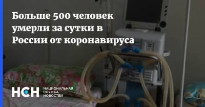 Больше 500 человек умерли за сутки в России от коронавируса - nsn.fm - Россия