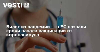 Билет из пандемии — в ЕС назвали сроки начала вакцинации от коронавируса - vesti.ua - Турция - Евросоюз - деревня Ляйен