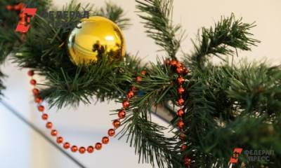 В Испании разработали правила празднования Рождества и Нового года во время коронавируса - fedpress.ru - Испания - Мадрид
