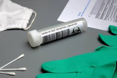 Результаты тестов на коронавирус начнут загружать на сайт госуслуг - abnews.ru - Россия