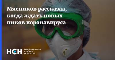 Владимир Соловьев - Александр Мясников - Мясников рассказал, когда ждать новых пиков коронавируса - nsn.fm