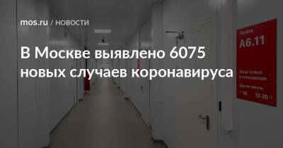 В Москве выявлено 6075 новых случаев коронавируса - mos.ru - Москва