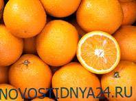 Апельсины признаны источником лекарства против коронавирусной инфекции - novostidnya24.ru - Египет