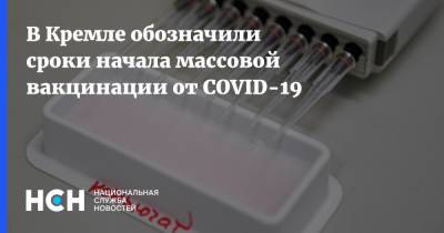 Дмитрий Песков - В Кремле обозначили сроки начала массовой вакцинации от COVID-19 - nsn.fm - Россия