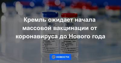 Дмитрий Песков - Кремль ожидает начала массовой вакцинации от коронавируса до Нового года - news.mail.ru