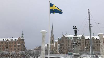 Шведы перестали доверять властям в вопросе борьбы с коронавирусом - nation-news.ru - Швеция