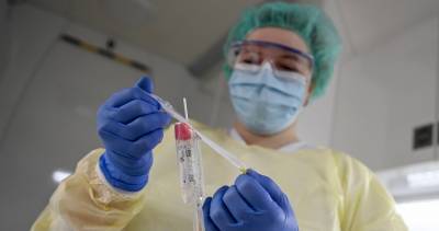 Исследование: иммунитет к коронавирусу сохраняется как минимум восемь месяцев - expert.ru - Австралия