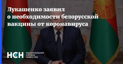 Александр Лукашенко - Лукашенко заявил о необходимости белорусской вакцины от коронавируса - nsn.fm - Белоруссия - Минск