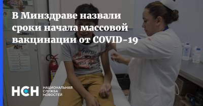 Михаил Мурашко - В Минздраве назвали сроки начала массовой вакцинации от COVID-19 - nsn.fm - Россия