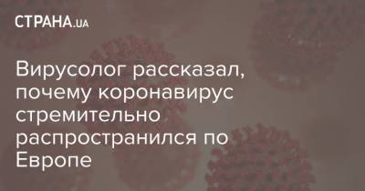 Александр Кекуле - Вирусолог рассказал, почему коронавирус стремительно распространился по Европе - strana.ua - Италия - Китай - Германия