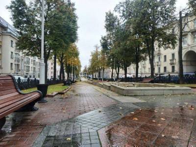 Новости сегодня: в Беларуси за сутки 1621 случай COVID-19, медаль Кочановой, отказ Лукашенко быть президентом, зарплаты врачей и что изменится с 1 декабря - koronavirus.center - Белоруссия - Литва