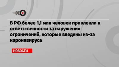 В РФ более 1,1 млн человек привлекли к ответственности за нарушения ограничений, которые введены из-за коронавируса - echo.msk.ru - Россия