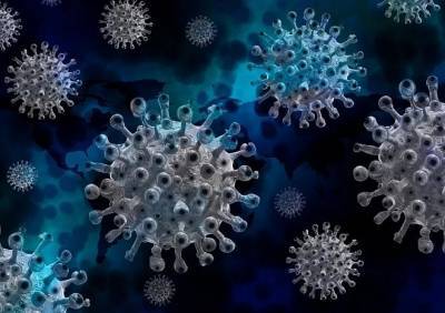 Александр Кекуле - Немецкий ученый заявил, что в мире бушует «итальянская версия» коронавируса - ya62.ru - Италия - Германия