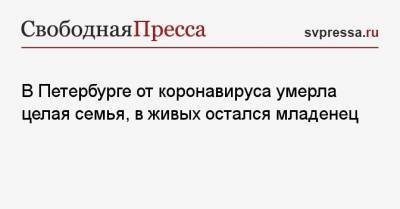 В Петербурге от коронавируса умерла целая семья, в живых остался младенец - svpressa.ru - Санкт-Петербург