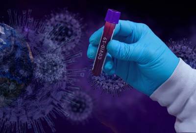 Где в Ленобласти выявили 212 новых случаев коронавируса на 29 ноября - online47.ru - Ленобласть обл.