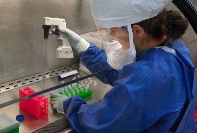 Китайские ученые предположили, где появился коронавирус впервые - argumenti.ru - Китай - Индия