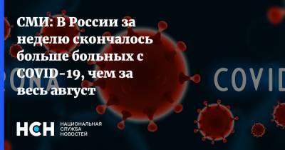 СМИ: В России за неделю скончалось больше больных c COVID-19, чем за весь август - nsn.fm - Россия