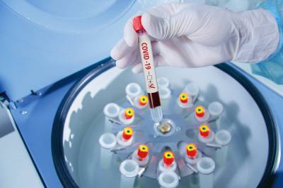 Не из Китая: ученые выдвинули новую версию появления коронавируса - 24tv.ua - Китай - Индия - Бангладеш