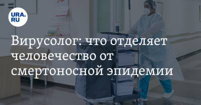 Александр Чепурнов - Вирусолог: что отделяет человечество от смертоносной эпидемии - ura.news
