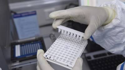 В России за сутки проведено более 550 тысяч тестов на коронавирус - russian.rt.com - Россия