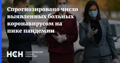 Наталья Пшеничная - Спрогнозировано число выявленных больных коронавирусом на пике пандемии - nsn.fm