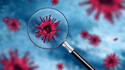 Ученые выяснили, как долго в организме могут «жить» антитела к коронавирусу - 5-tv.ru