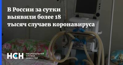 В России за сутки выявили более 18 тысяч случаев коронавируса - nsn.fm - Россия