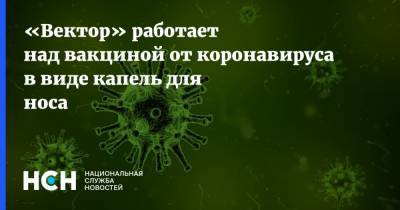 «Вектор» работает над вакциной от коронавируса в виде капель для носа - nsn.fm - Россия