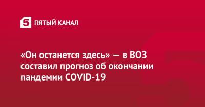 Мелита Вуйнович - «Он останется здесь» — в ВОЗ составил прогноз об окончании пандемии COVID-19 - 5-tv.ru - Россия