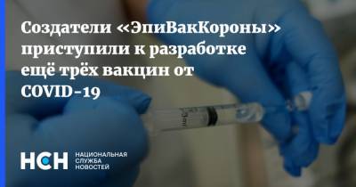 Создатели «ЭпиВакКороны» приступили к разработке ещё трёх вакцин от COVID-19 - nsn.fm - Россия