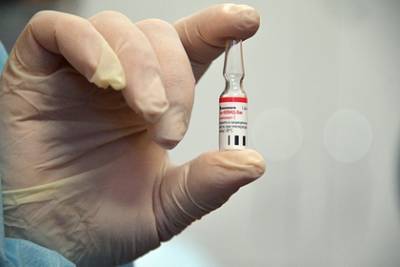 Себастьян Курц - Австрия оценила вероятность использования российской вакцины от коронавируса - lenta.ru - Австрия
