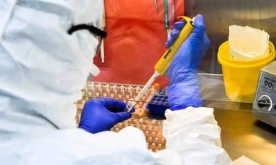 Метте Фредериксен - В Дании уничтожат 17 млн норок из-за новой опасной для человека мутации коронавируса - znak.com - Дания
