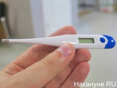 У 90% заразившихся коронавирусом бывает температура - главный пульмонолог Минздрава - nakanune.ru