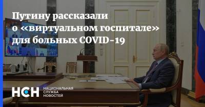Владимир Путин - Алексей Дюмин - Путину рассказали о «виртуальном госпитале» для больных COVID-19 - nsn.fm - Тула