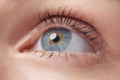 Названа неуязвимая для коронавируса часть тела - lenta.ru - Сша - Вашингтон