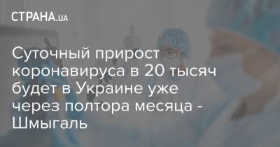 Денис Шмыгаль - Суточный прирост коронавируса в 20 тысяч будет в Украине уже через полтора месяца - Шмыгаль - strana.ua - Украина