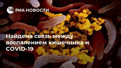 Найдена связь между воспалением кишечника и COVID-19 - ria.ru - Москва - Сша