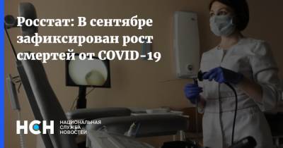 Росстат: В сентябре зафиксирован рост смертей от COVID-19 - nsn.fm - Россия