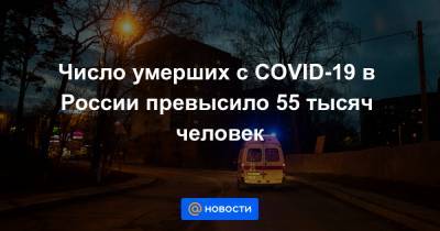 Число умерших с COVID-19 в России превысило 55 тысяч человек - news.mail.ru - Россия