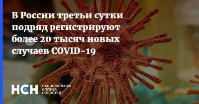 В России третьи сутки подряд регистрируют более 20 тысяч новых случаев COVID-19 - nsn.fm - Россия