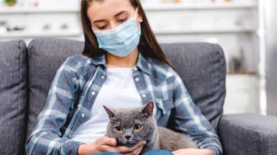 Минздрав озвучил новые правила лечения от COVID-19 в России - 5-tv.ru - Россия