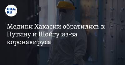 Владимир Путин - Сергей Шойгу - Медики Хакасии обратились к Путину и Шойгу из-за коронавируса. «В больницах нет мест» - ura.news - Россия - республика Хакасия